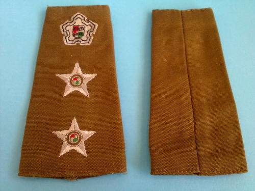 SA ARMY COLONEL NUTRIA RANK EPAULETTE (PAIR)